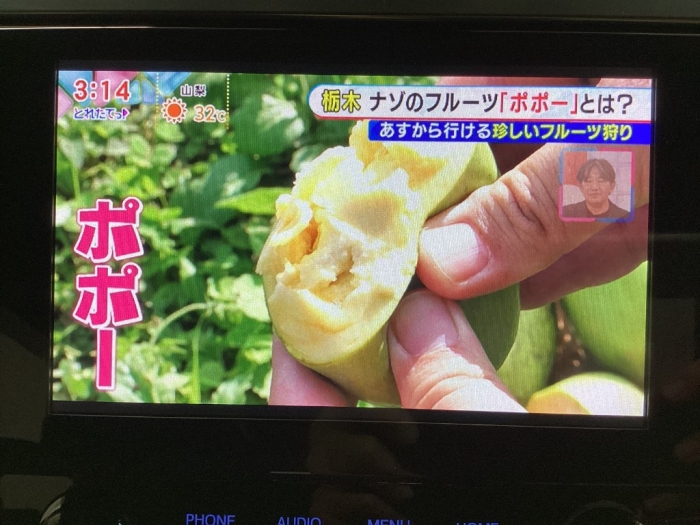 トヨタ アルファード54枚目