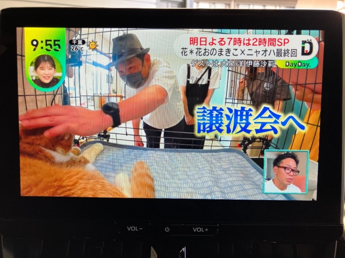 トヨタ カローラクロス34枚目